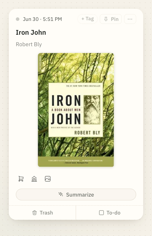 A book card for Iron John by Robert Bly, identified from a photo of its cover